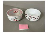 Hand-Painted Porcelain Bowl