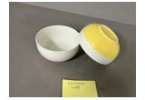 Color-Glaze Porcelain Cup