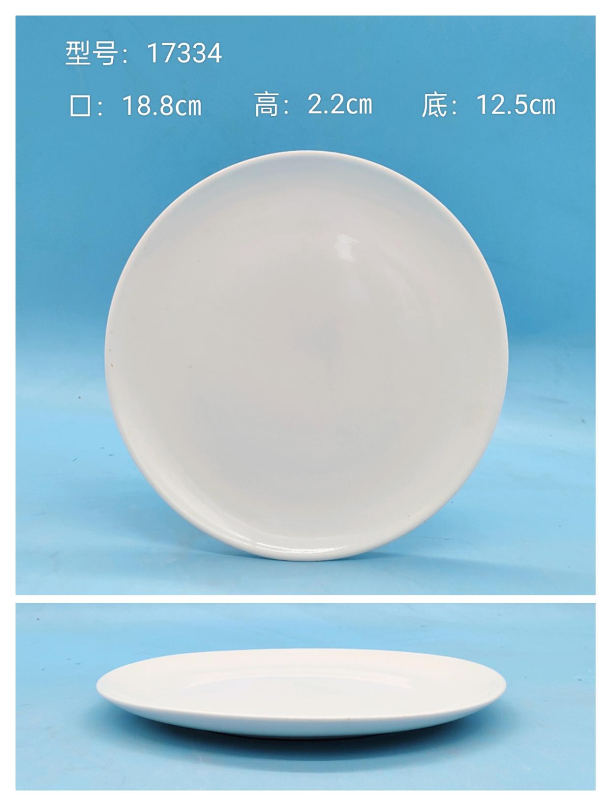 Glossy Ceramic Plate