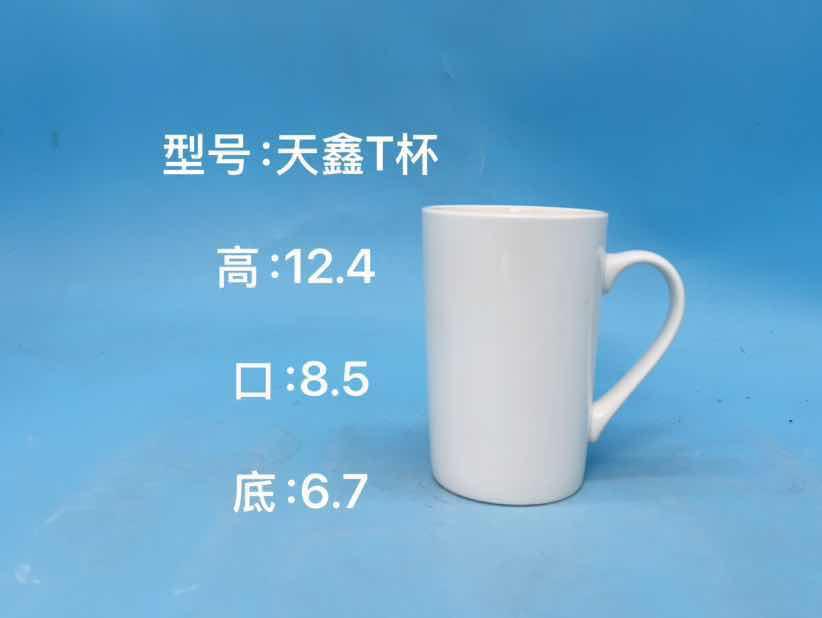 Matte Ceramic Mug