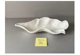Glazed Reinforced Porcelain Serving Dish