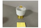 Color-Glaze Porcelain Cup